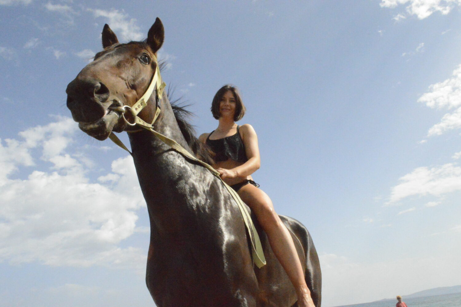 Horse Riding on the beach Travel in Crete Book today